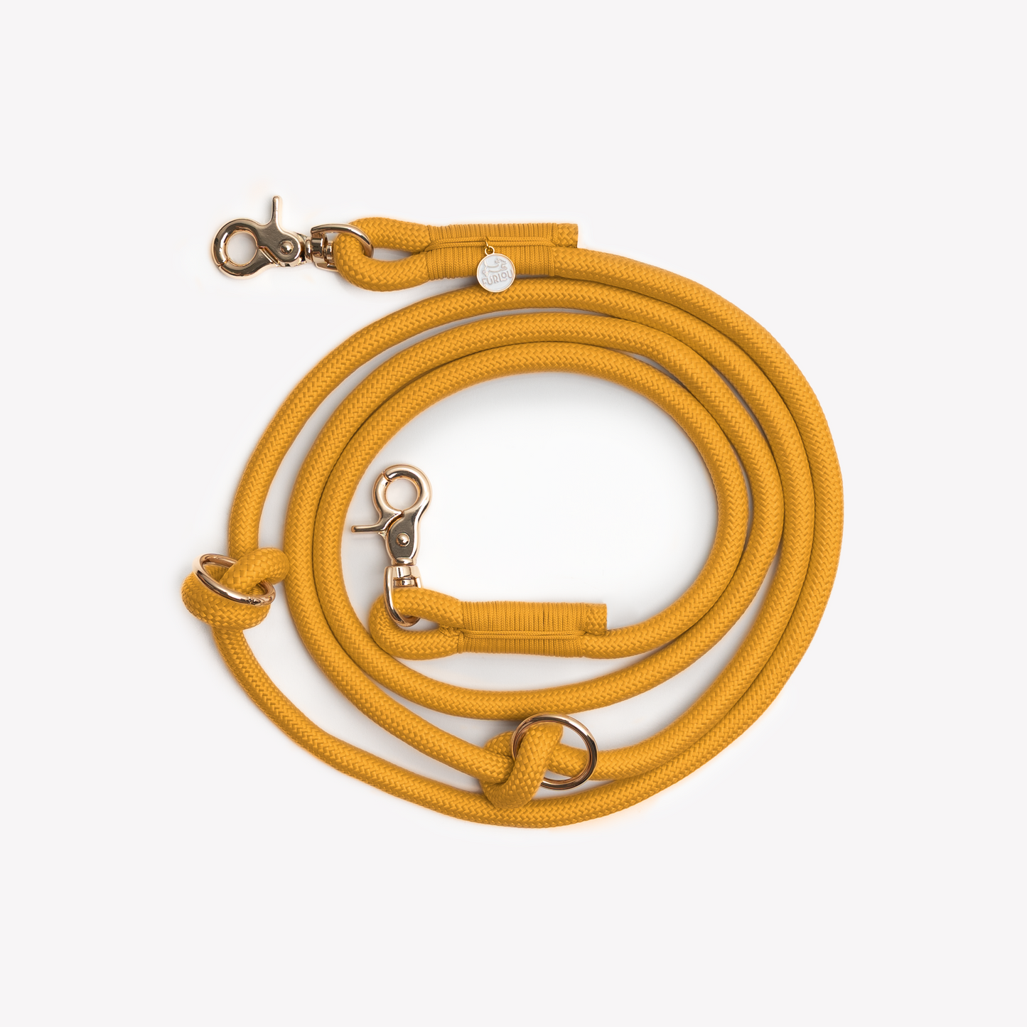 Yellow dog leash with gold hardware on a white background