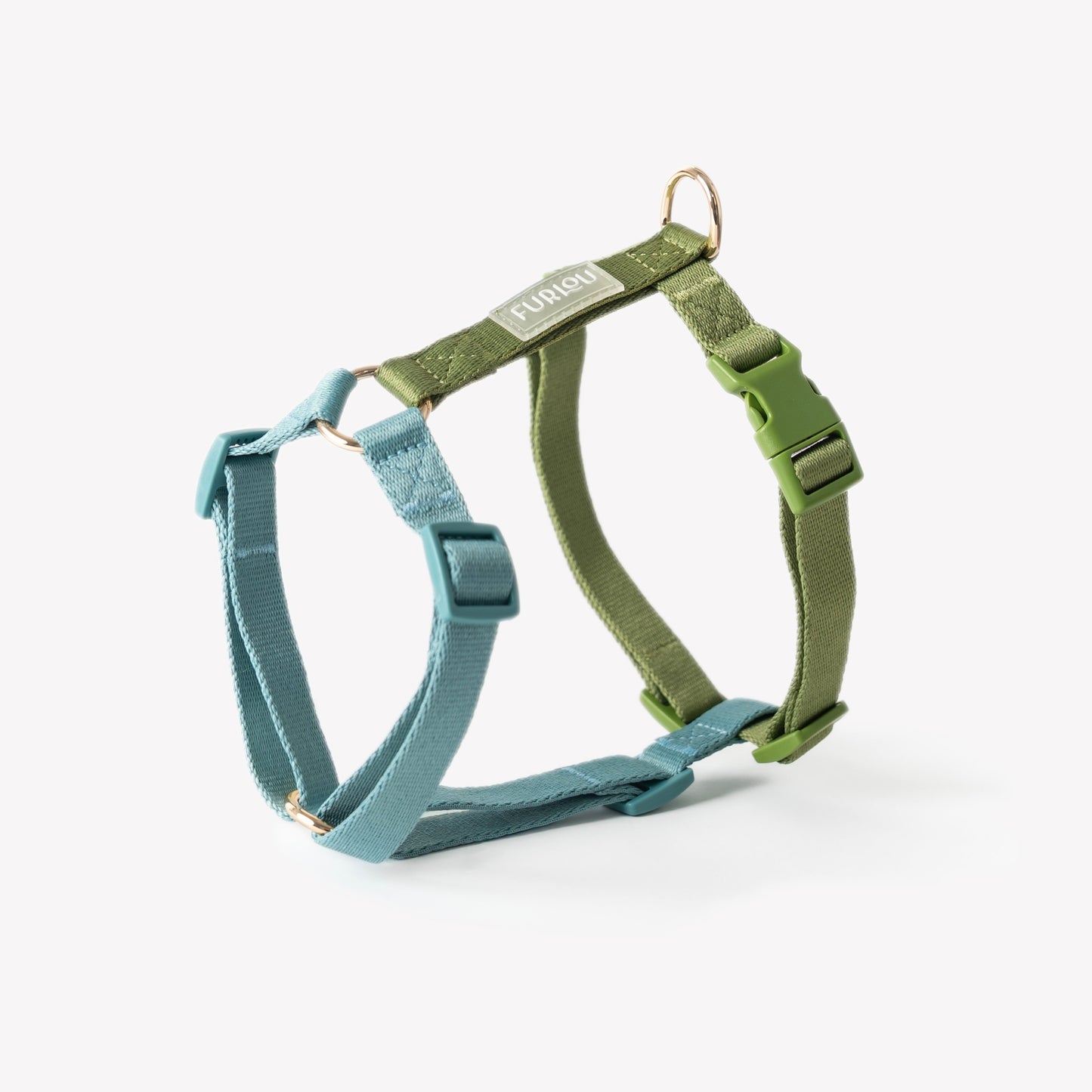 Green and blue dog harness on a white background