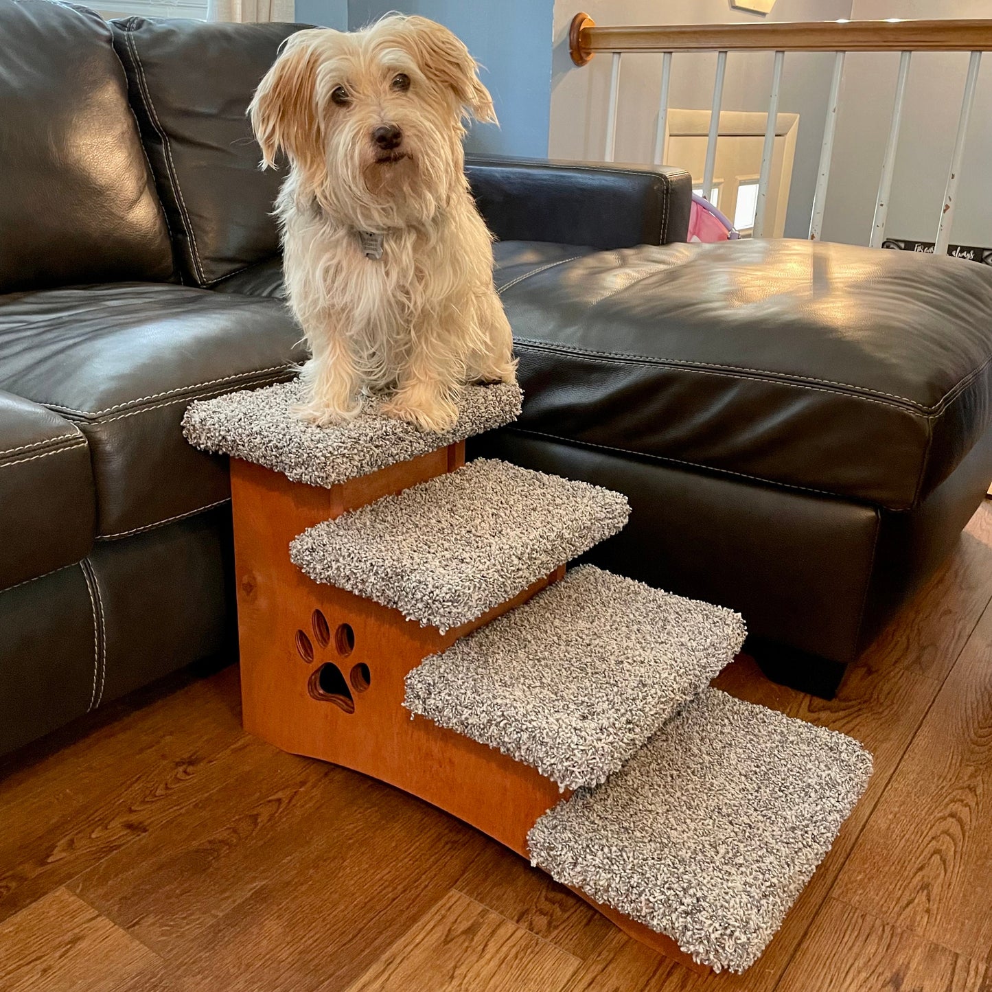 Pet Steps for Small Dogs 16-Inches Tall