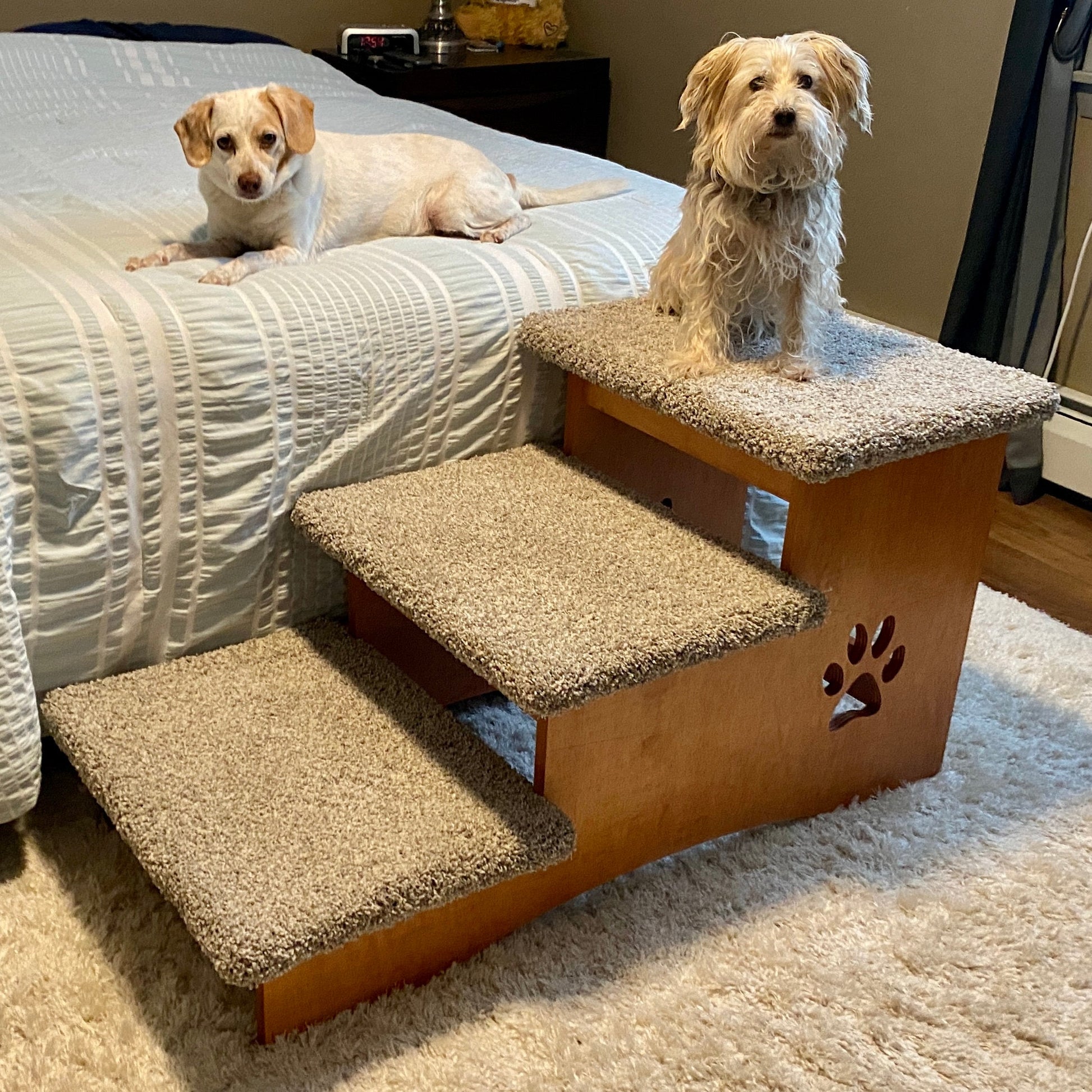 Two dogs enjoying comfort: one sitting atop our extra deep 3-step pet stairs while the other rests contentedly on the bed below.